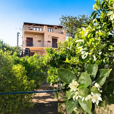 Parco dei Templi-3