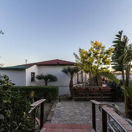 B&B Eyexei Domus-2